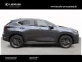 Lexus NX450h+ 2,5 Plug in E-Four Business Line