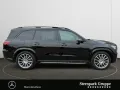 Mercedes-Benz GLS 580 4M AMG MANUFAKTUR+HuD+Pano+Stdh.+FAP+AHK