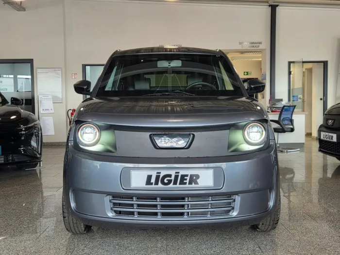 Ligier Myli MAX *Servolenkung, Apple CarPlay*