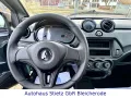 Aixam MinAuto E5+ Access 45Km/h Fahren ab 15!