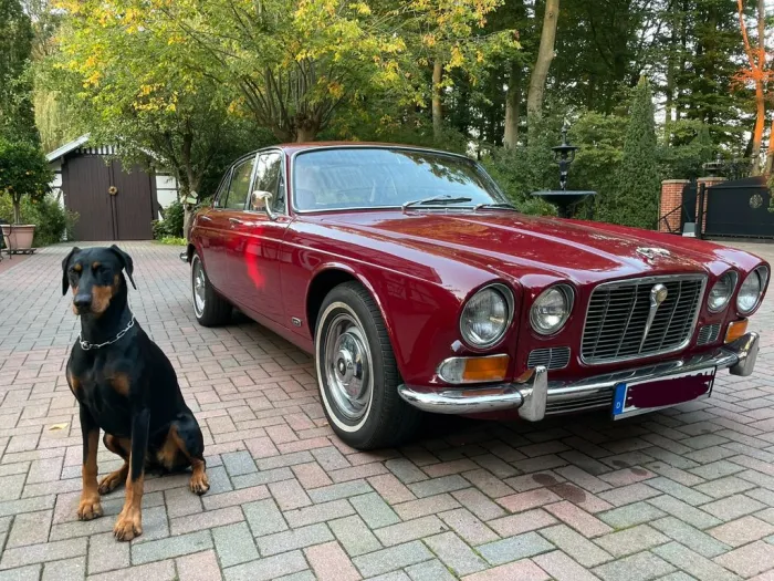 Jaguar XJ6 Serie 1 