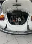 Volkswagen Käfer 1303 LS Cabriolet