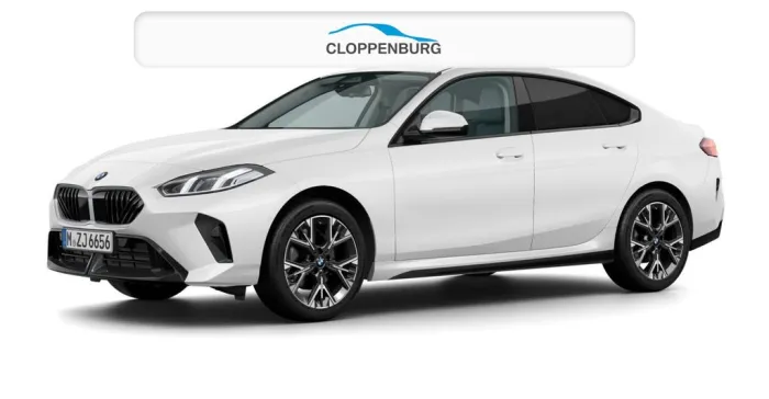 BMW 220 DAB Parkassistent Klimaaut. Shz