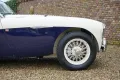 Austin Healey 100/4 BN1 100M-spec, Denis Welch cilinder head,
