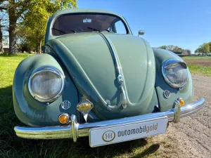 Volkswagen Brezelkäfer, Rheumaklappen, pastellgrün, TRAUM!