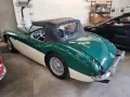 Austin Healey Andere