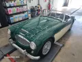 Austin Healey Andere