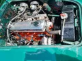 Austin Healey Andere