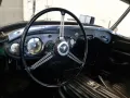 Austin Healey Andere