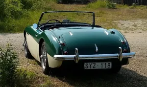 Austin Healey Andere