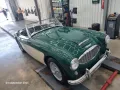 Austin Healey Andere