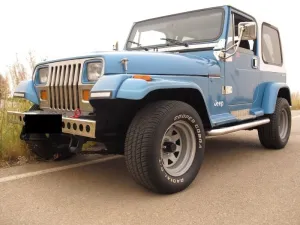 Jeep Wrangler Y J 6 Zylinder 4,2 L 