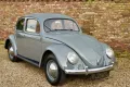 Volkswagen Beetle Oval Window Beetle PRICE REDUCTION Desira