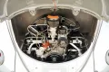 Volkswagen Beetle Oval Window Beetle PRICE REDUCTION Desira