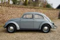 Volkswagen Beetle Oval Window Beetle PRICE REDUCTION Desira