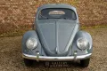 Volkswagen Beetle Oval Window Beetle PRICE REDUCTION Desira