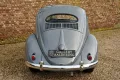Volkswagen Beetle Oval Window Beetle PRICE REDUCTION Desira
