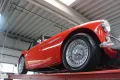 Austin Healey 100-6 