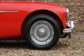 Austin Healey 100-6 