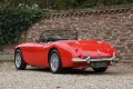 Austin Healey 100-6 