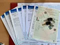Fiat Uno 45 Holdtimer / H-Kennzeichen /Top Zustand