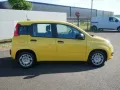 Fiat Pandina PANDA ICON HYBRID 1.0 GSE 65PS PDC RADIO
