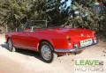 Alfa Romeo Giulia Spider Targa Oro (M1383)