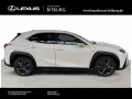 Lexus UX 300 h F-Sport Design