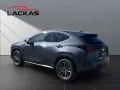 Lexus NX450H+ Executive Panorama
