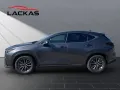 Lexus NX450H+ Executive Panorama