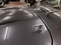 Cobra RAM Replica RHD