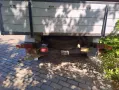 Barkas B1000