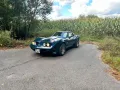 Chevrolet C3 TARGA