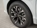 Cupra CUPRA Terramar 1.5 e-HYBRID DSG Camera Navi Cock