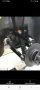 Lotus Europa S2 original 43000 km restauriert