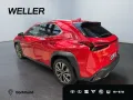 Lexus UX 300h F SPORT Design *Navi*LED*CarPlay*CAM*TWA