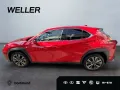 Lexus UX 300h F SPORT Design *Navi*LED*CarPlay*CAM*TWA