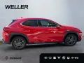 Lexus UX 300h F SPORT Design *Navi*LED*CarPlay*CAM*TWA