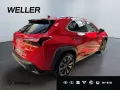 Lexus UX 300h F SPORT Design *Navi*LED*CarPlay*CAM*TWA