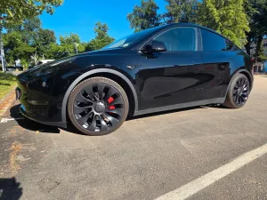 Tesla Model Y - Performance - Dual Motor - FSD