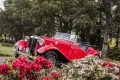 MG TD