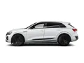 Audi Q8 e-tron 50 S line Edition Matrix/Kam/Luft/21