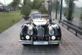 Jaguar XK 140