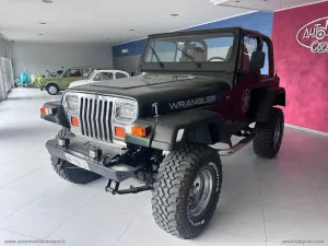 Jeep JEEP Wrangler 4.0 Hard top SHARA