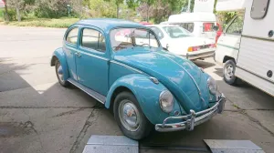Volkswagen VW Käfer Dickholmer 1200 blau gt Zst. kein Rost