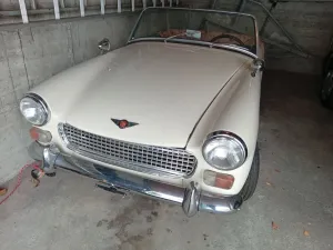 Austin Healey Andere