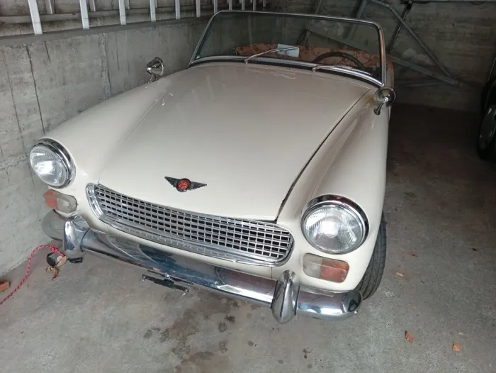 Austin Healey Andere