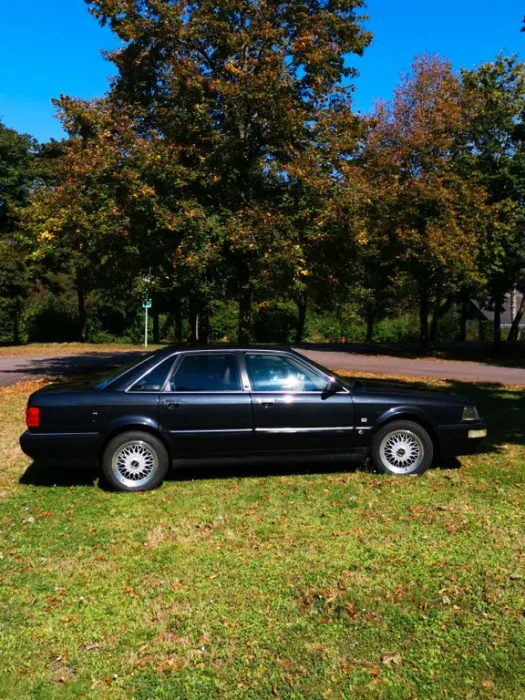 Audi V8 D11 Oldtimer