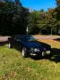 Audi V8 D11 Oldtimer