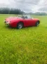 Austin Healey Andere